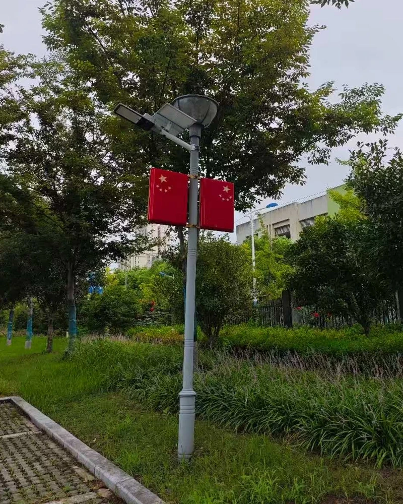 公共区域景观路灯太阳能改造工程实拍