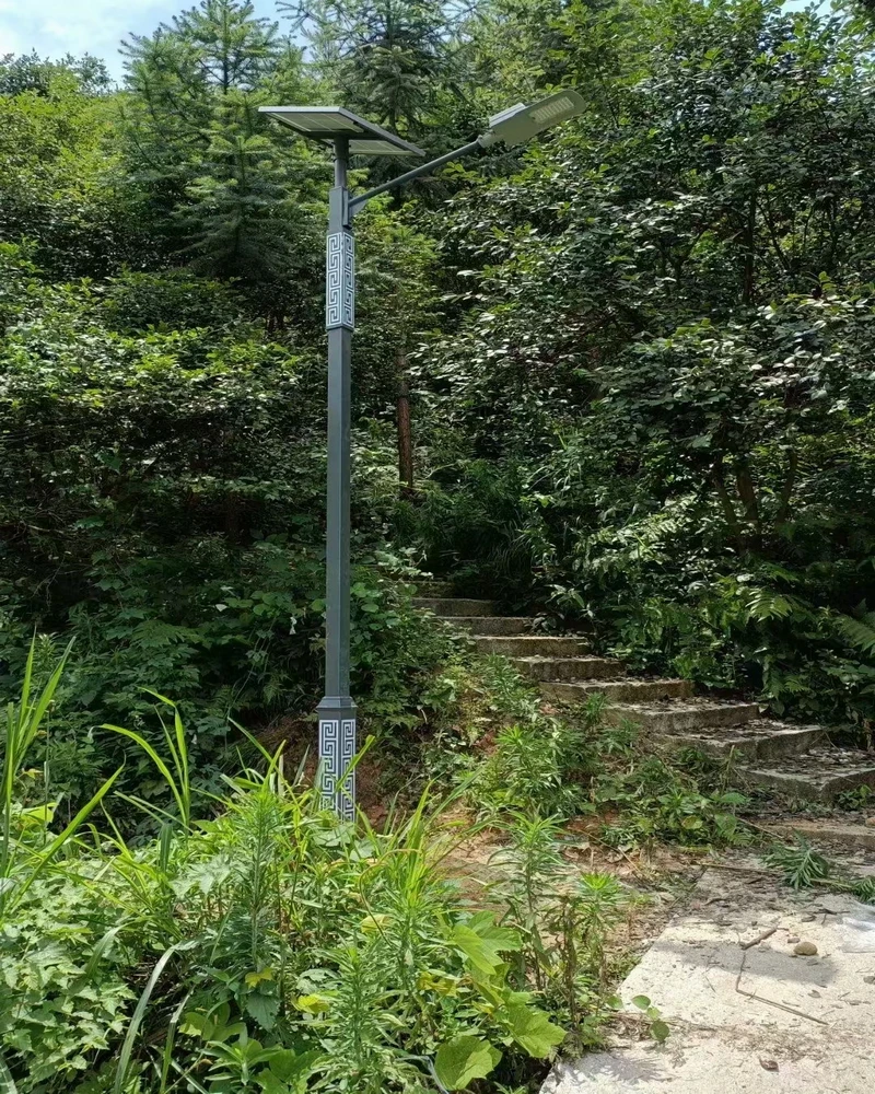 景区道路太阳能路灯照明工程实拍