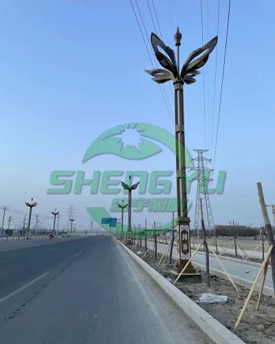 城市道路组合灯照明