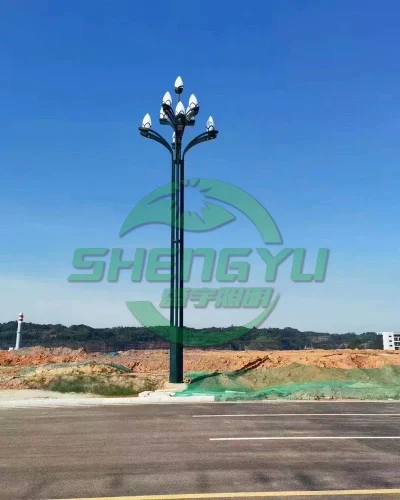 现代道路组合灯照明