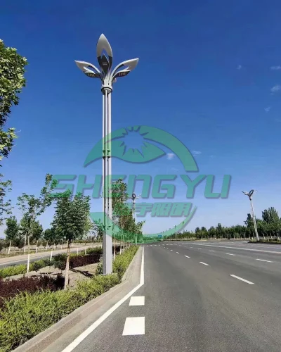 城市主干道组合灯