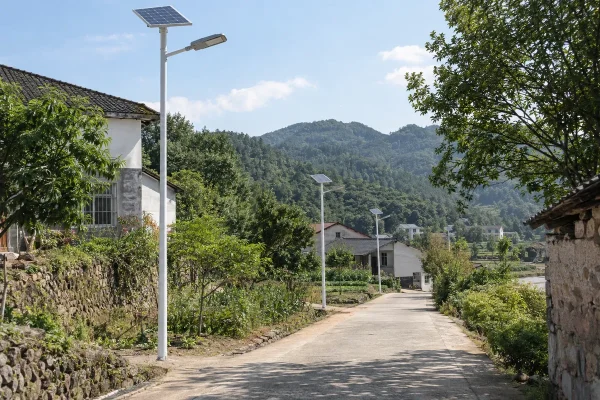 乡村道路太阳能照明亮化项目